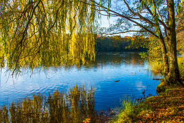 A landscape view of a lake with trees in autumn color with mirror reflection at Wollaton Country and Deer Park in Nottingham, UK.
