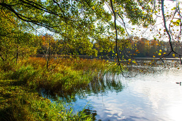 A landscape view of a lake with trees in autumn color with mirror reflection at Wollaton Country and Deer Park in Nottingham, UK.
