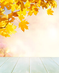 Autumn nature background with wooden table for product exhibition and branches with fall golden yellow maple leaves, orange autumnal foliage outdoors, copy space.