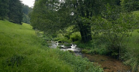 mountain landscape with river