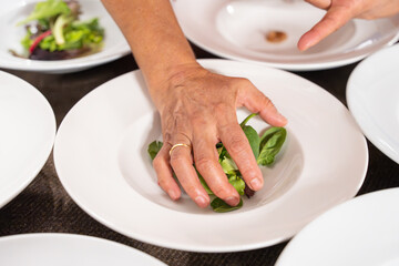 Chef hand preparing fresh green salad on plate