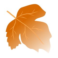 autumn leaf isolated on white. autumn maple leaf. Maple Leaves. Fall Pattern. Thanksgiving Ornament.