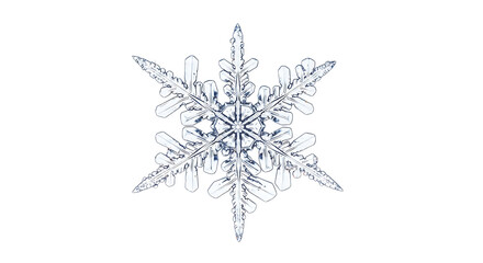 A single, detailed snowflake isolated on transparent background, showcasing its intricate crystalline structure and delicate beauty