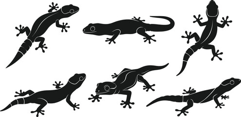 Gecko silhouette illustration set, climbing pose, crawling motion, adhesive toes, reptile anatomy, vector black design