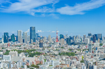 Naklejka premium 日本の首都東京