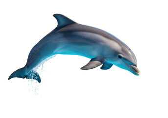Isolated bottlenose dolphin with an elegant curved shape leaping out of the water grace