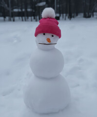Imperfect Snowman in Winter Snow - Kids Snow Man with Pompom Winter Hat with woods