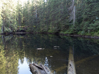 Forest Lake in a mountain. Dark scene