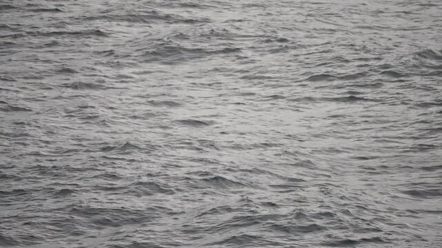 Close-up view of a calm gray ocean surface with gentle rolling waves and subtle ripples, capturing the textured movement of open water under overcast light as a serene seascape backdrop.