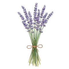 Fototapeta premium Delicate lavender bouquet tied with twine, a touch of Provence for your designs, perfect for invitations, branding, or a calming aesthetic