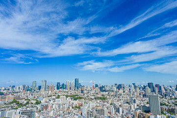 Fototapeta premium 日本東京の都市風景