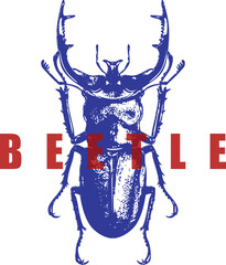 Stag Beetle, Large Curved Mandibles, Blue Engraving, Red Text Graphic, High Contrast Vintage T-Shirt Design, Insect, Lucanus, Entomology Vector Print.