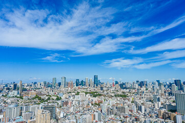 Naklejka premium 日本東京の都市風景