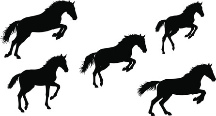 Horse silhouette vector illustration, running horse clipart, rearing horse design, black horse icon, animal motion graphic, cad drawing flat vector illustration