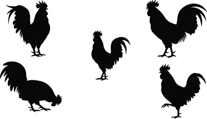 Rooster silhouette collection, black vector chickens, farm animal poses, poultry icon set, cad drawing flat vector illustration, isolated design
