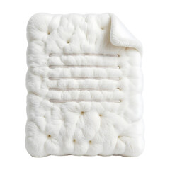 Plush document, isolated on transparent background
