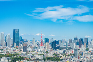 Fototapeta premium 日本東京の都市風景
