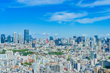 Fototapeta premium 日本東京の都市風景