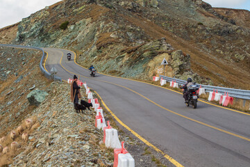 On the Transalpina highway in Romania