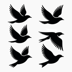 Obraz premium black silhouettes of birds