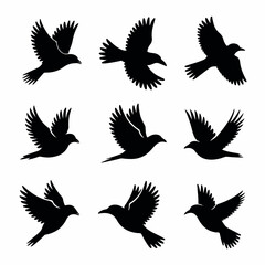 set of black silhouettes of birds