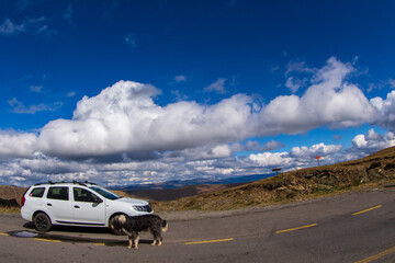 On the Transalpina highway in Romania