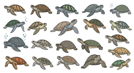 A delightful collection of marine turtles swimming gracefully through the ocean waters.