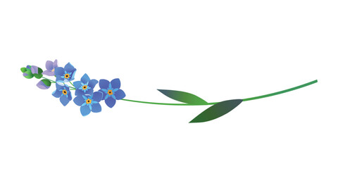 Vintage vector floral element. A branch of blooming forget-me-nots. Spring flowers with blue petals. Clipart for wedding designs, Mother's Day, and Valentine's Day greeting cards.