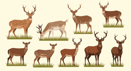 Naklejka premium A collection of majestic deer with antlers standing in grassy fields.