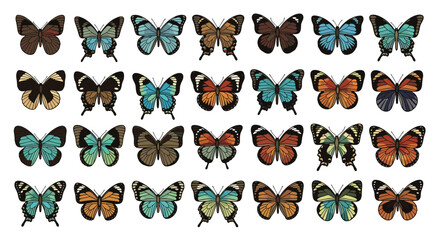Fototapeta premium A diverse collection of colorful butterfly illustrations arranged in rows.
