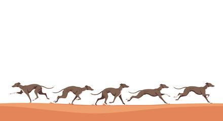 A line of elegant greyhounds running across a sandy terrain in animated sequence.