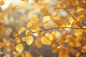 Golden autumn leaves on thin branches, soft wind making them sway, warm morning sunlight, hyper-realistic nature shot