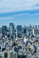 Obraz premium 日本東京の都市風景