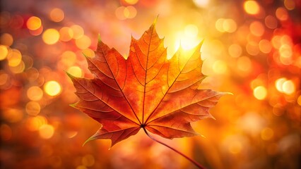 A vibrant maple leaf glows against a bokeh background of autumn colors
