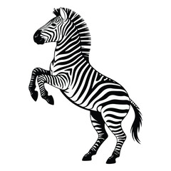Naklejka premium Cartoon Zebra Vector Illustration