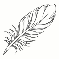 Obraz premium A delicate hand drawn line art illustration of a single feather with a quill and detailed barbs presented in a clean minimalist style on a white background
