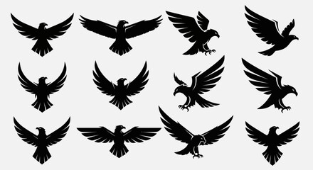 Six powerful black eagle logos and silhouettes in dynamic flight poses, ideal for branding, emblems, and graphic design projects, isolated on a light background., Flat Vector Elements, Vector