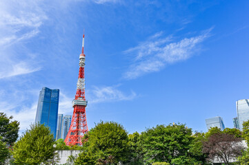 東京の芝公園からの風景
