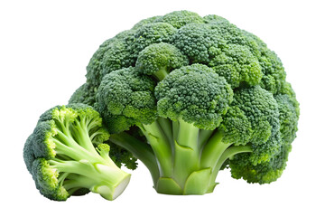 Fresh green broccoli head and a single floret isolated on transparent background