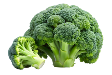 Fresh green broccoli head and a single floret isolated on transparent background