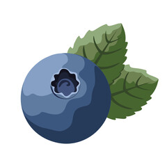 Blueberry berry with leaves, vector illustration, bright with highlights and shadows