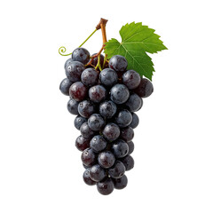 Fototapeta premium Delectable cluster of violet grapes adorned with a vibrant green leaf isolated against a simple