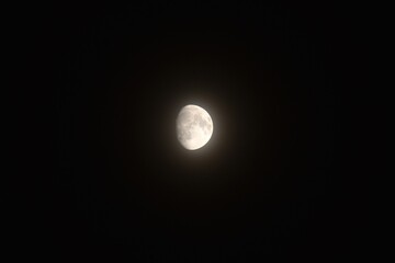 half moon shining floating on sky in night 