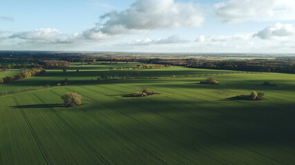 Aerial drone photograph showing vast green agricultural fields with scattered solitary trees...