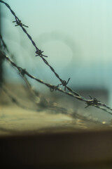barbed wire on a fence