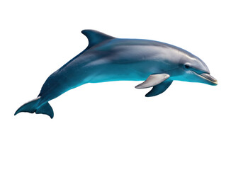 Isolated bottlenose dolphin swimming, playful marine mammal jumping out of water underwater