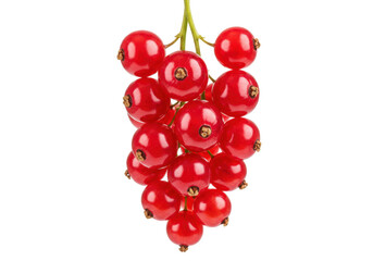 Isolated bunch of ripe redcurrants for food, desserts, and ingredient product shots