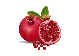 Pomegranate isolated on transparent background vector illustration