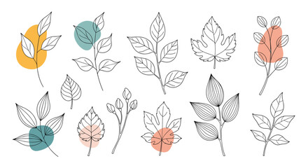 Set of hand drawn botanical leaves with abstract colorful shapes.
