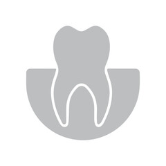 Tooth Anatomy Icon